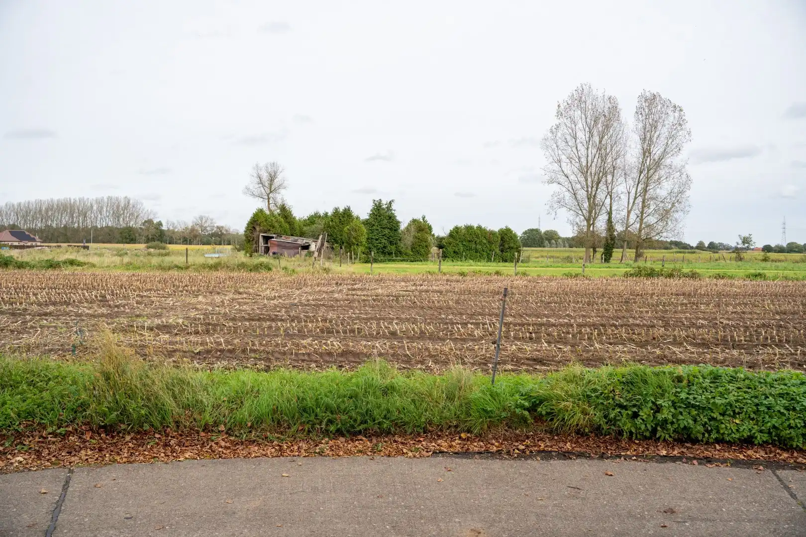 4 Nieuwe bouwgronden in Poederlee foto 5