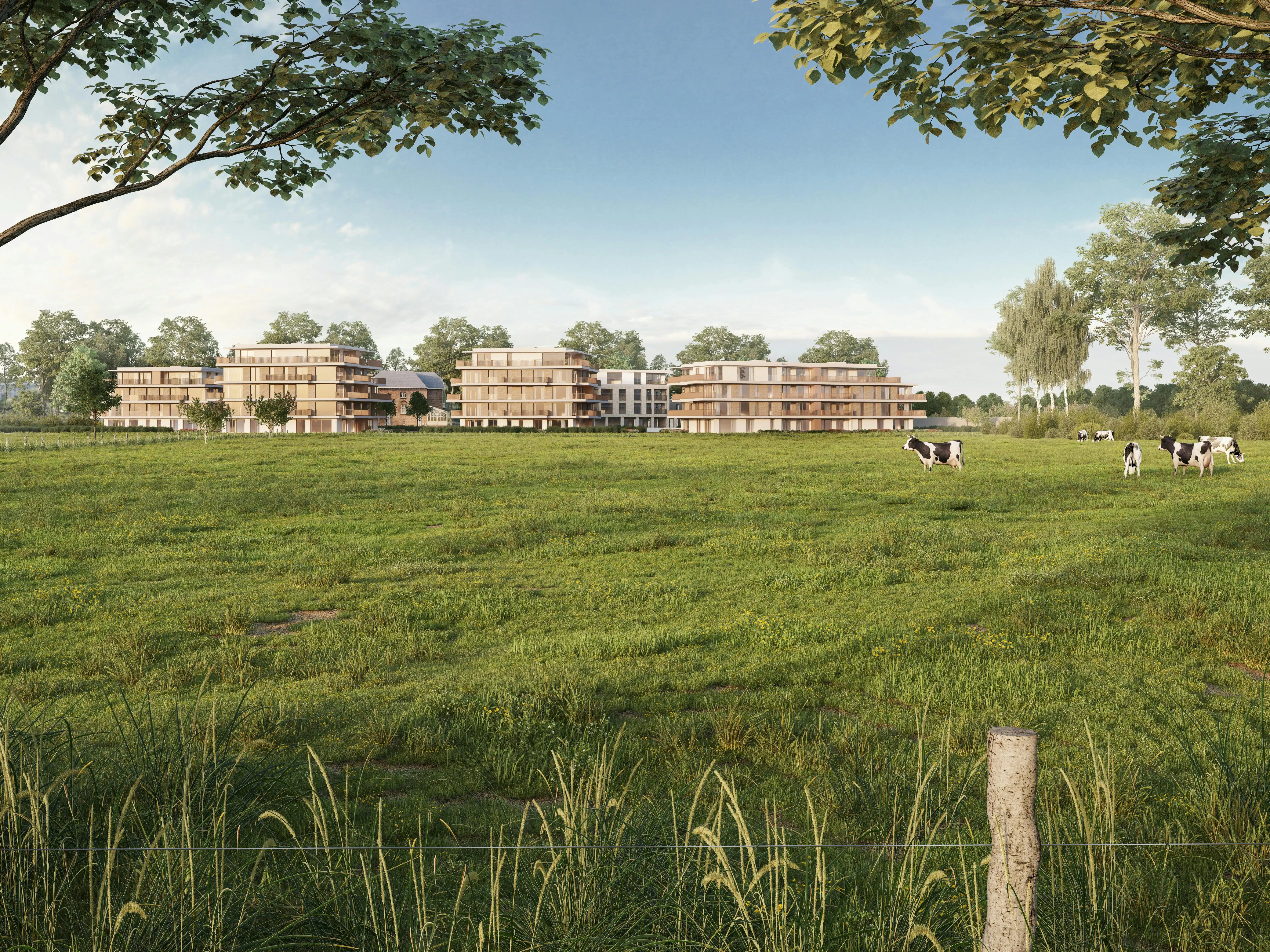 Penthouse met royaal terras en 3 slaapkamers te Loppem foto 5