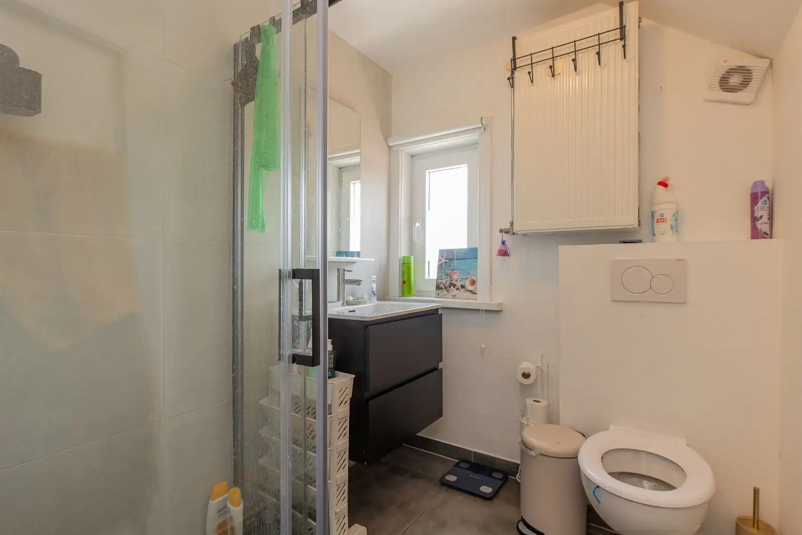 Volledig gerenoveerde woning met zwemvijver en ruime garage foto 26