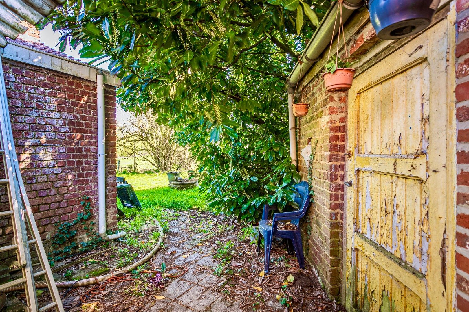 Te renoveren woning met omliggende gronden  foto 7