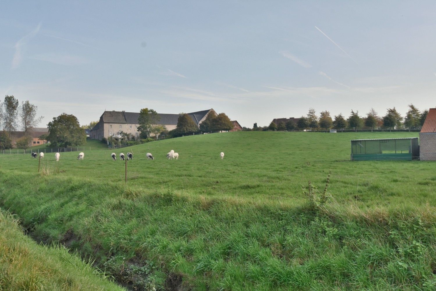 Luxueuze hoeve met schitterende binnenplaats en zwemvijver op een idyllische, natuurrijke locatie te Tongeren foto 6