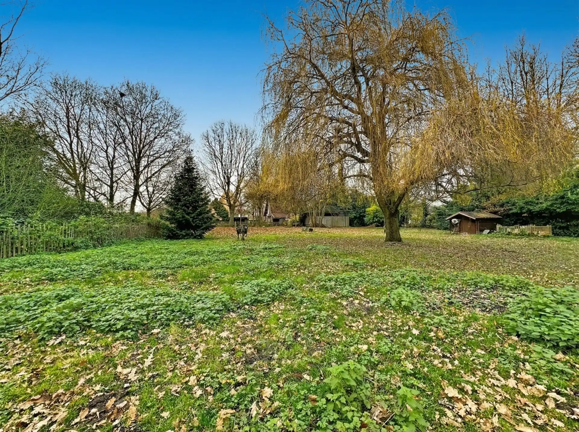 villa met 5 slk en riant bijgebouw op 14262m² foto 8