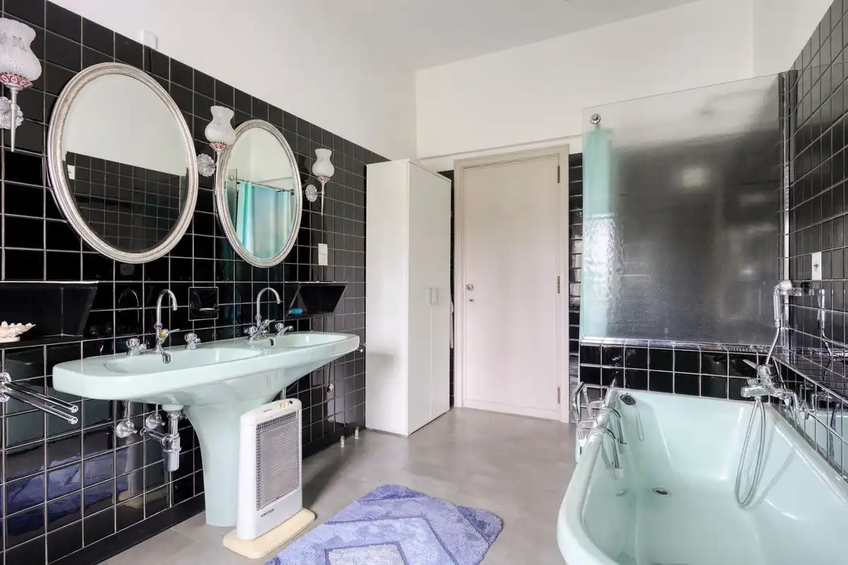 EXCLUSIEF VILLA-LANDHUIS OP 1HA09A87CA AAN STANDSRAND BILZEN. foto 23