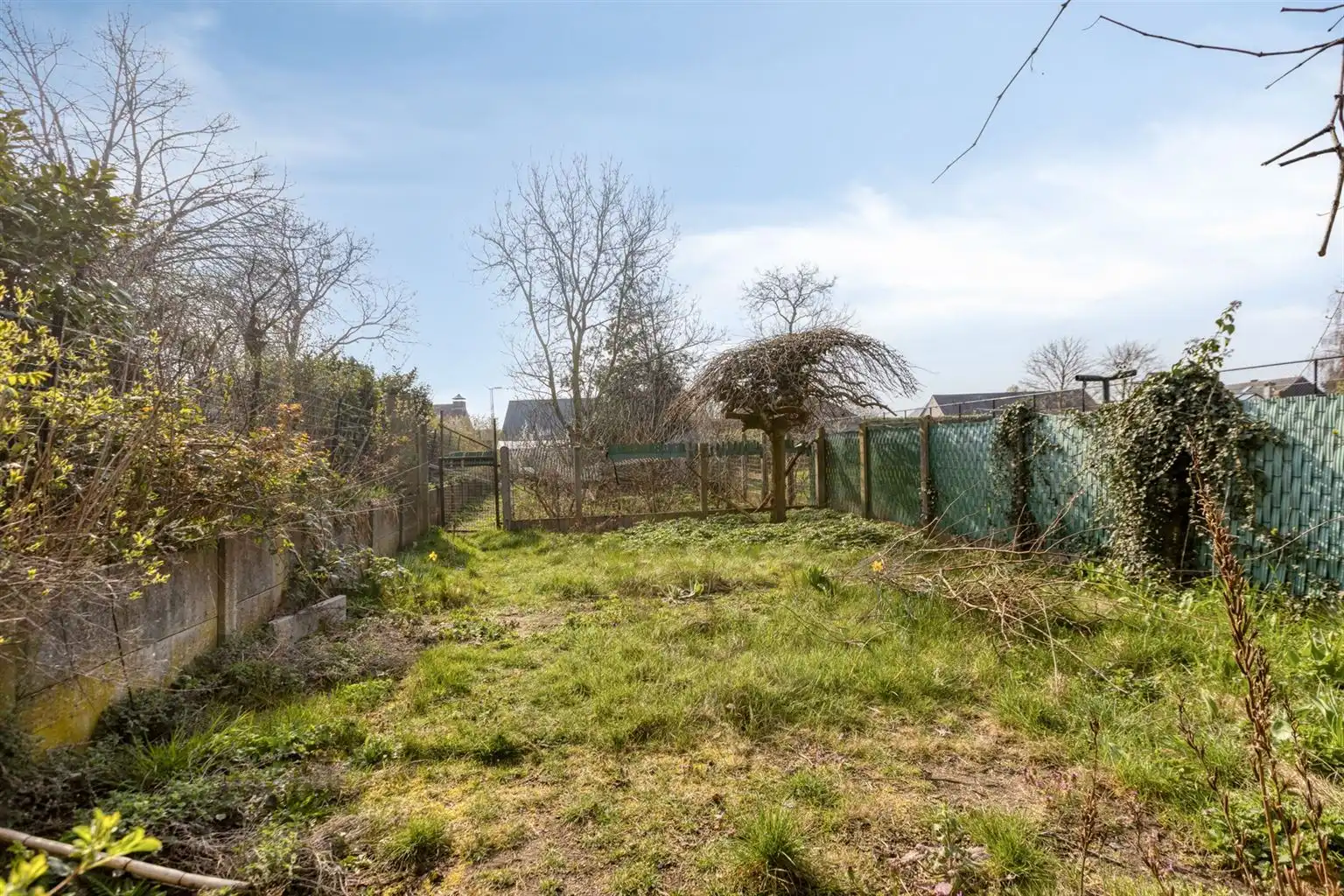 Charmante halfopen bebouwing met 3 slaapkamers, omheinde tuin en zonnepanelen, gunstig gelegen nabij het centrum van Maaseik. foto 28