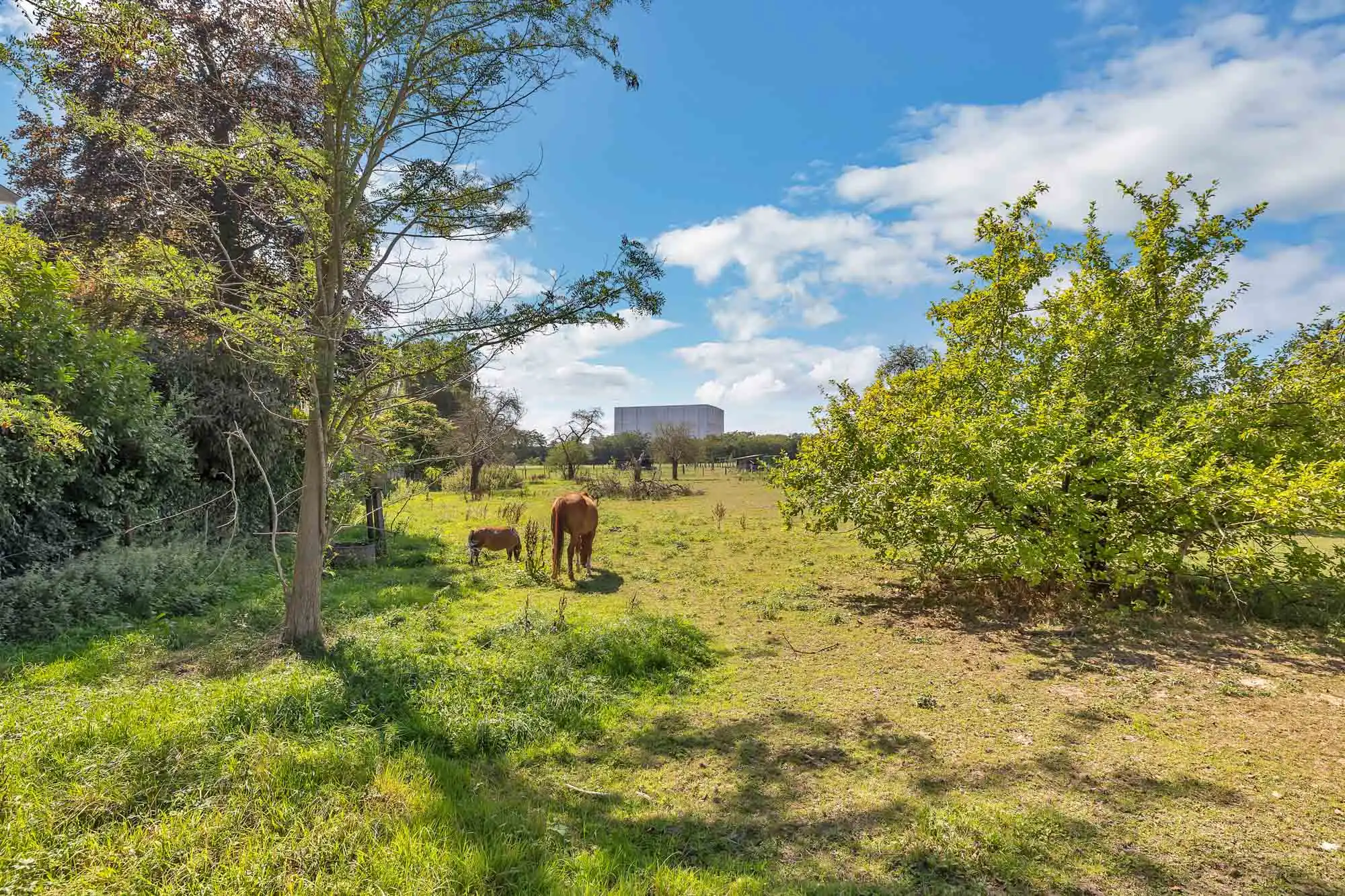 Bouwgrond voor HOB op een rustige en landelijke locatie foto 4