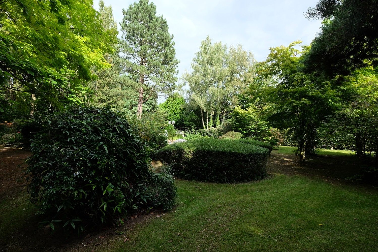 Uniek perceel met een charmante vakantiewoning midden in de natuur omgeven door een uitzonderlijke collectie van prachtige bomen. foto 33