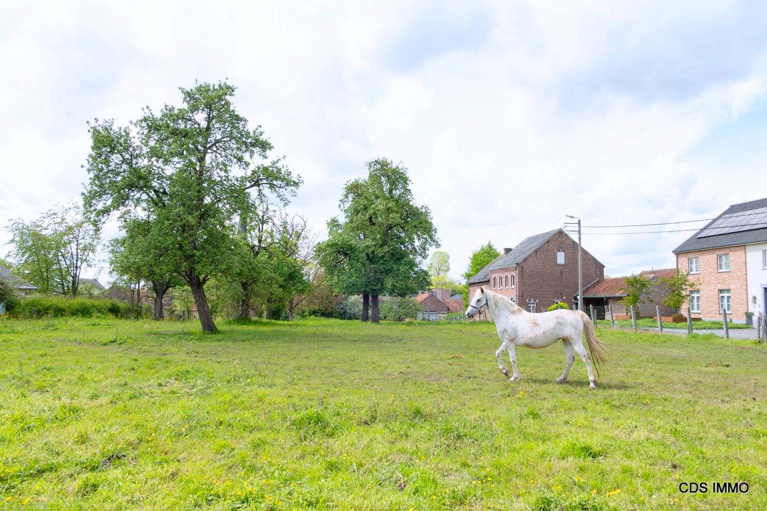 Vier moderne halfopen woningen  foto 13