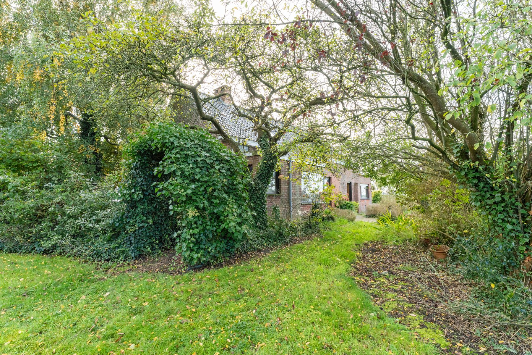 Te renoveren woning met uniek verzicht op 639m² foto 21