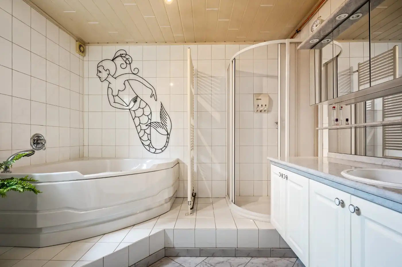 Charmante te renoveren HOB met 2 à 3 slpk. en ruime tuin in Kapellen foto 11