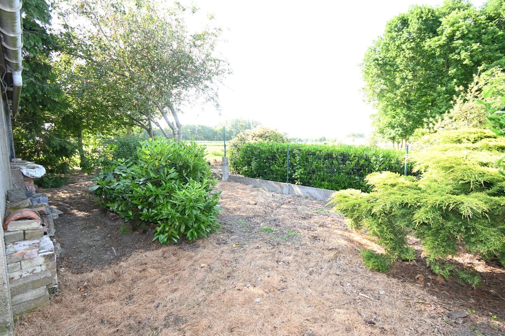 Rustig gelegen alleenstaande woning met tuin foto 26