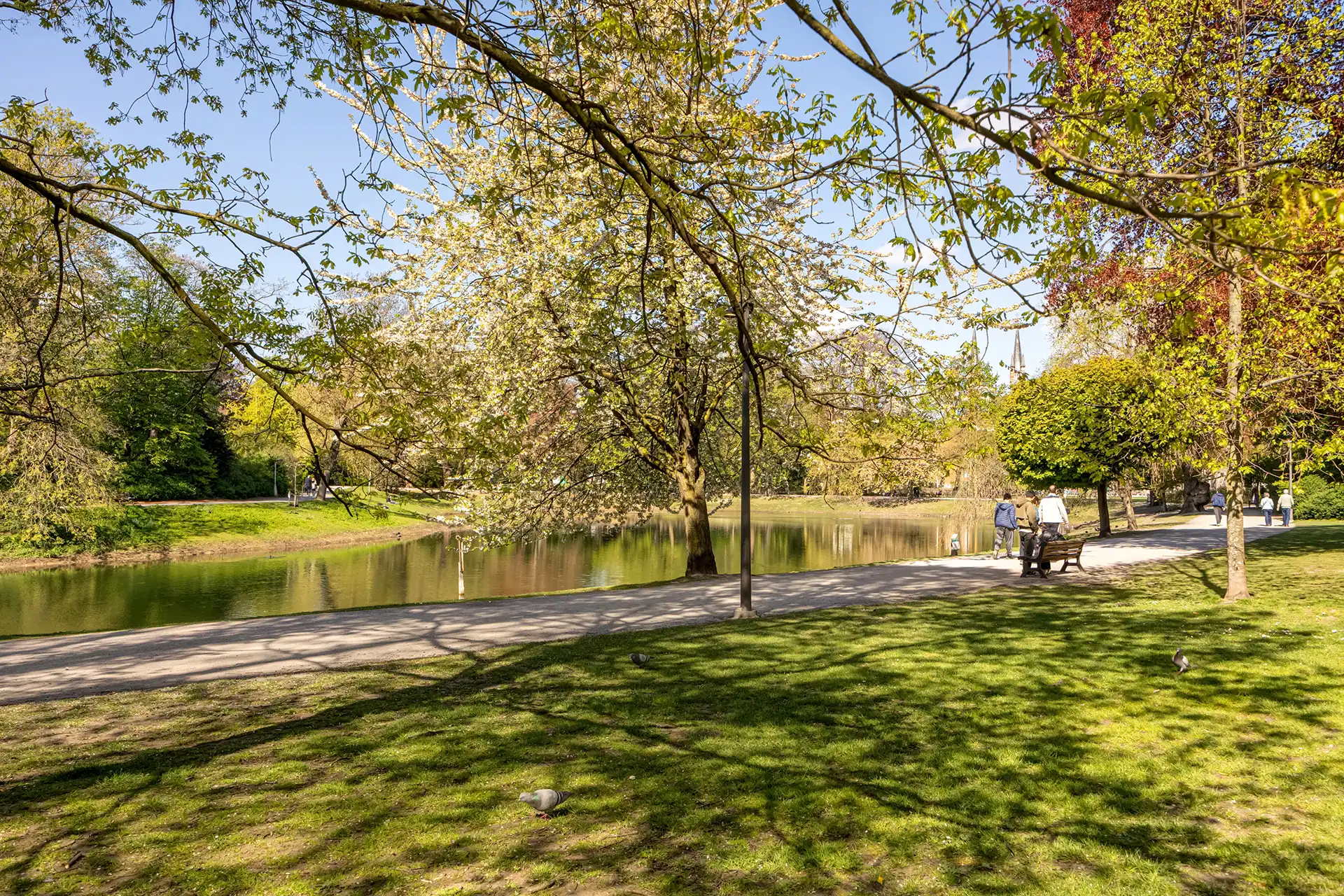 Exclusief hoekapp. met panoramisch zicht over Stadspark foto 23