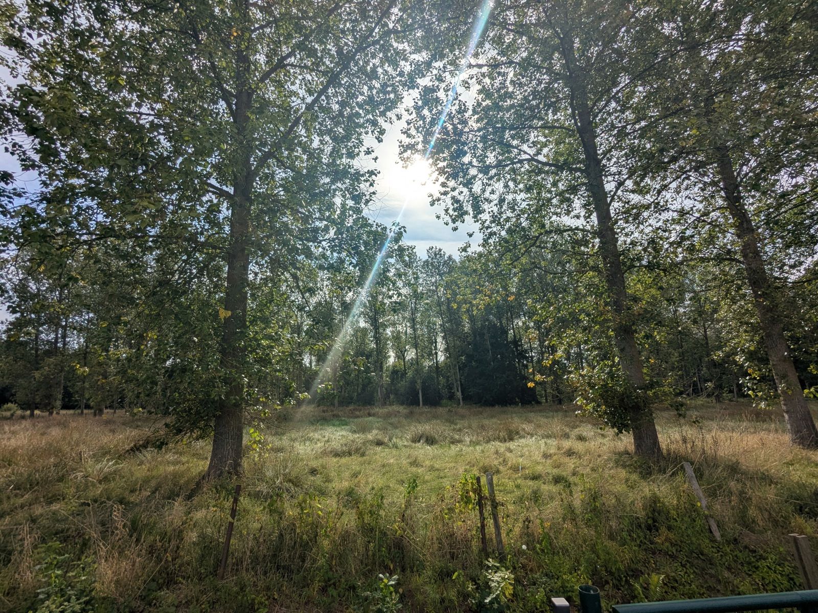 Recente grote woning met top technieken en prachtig uitzicht foto 2
