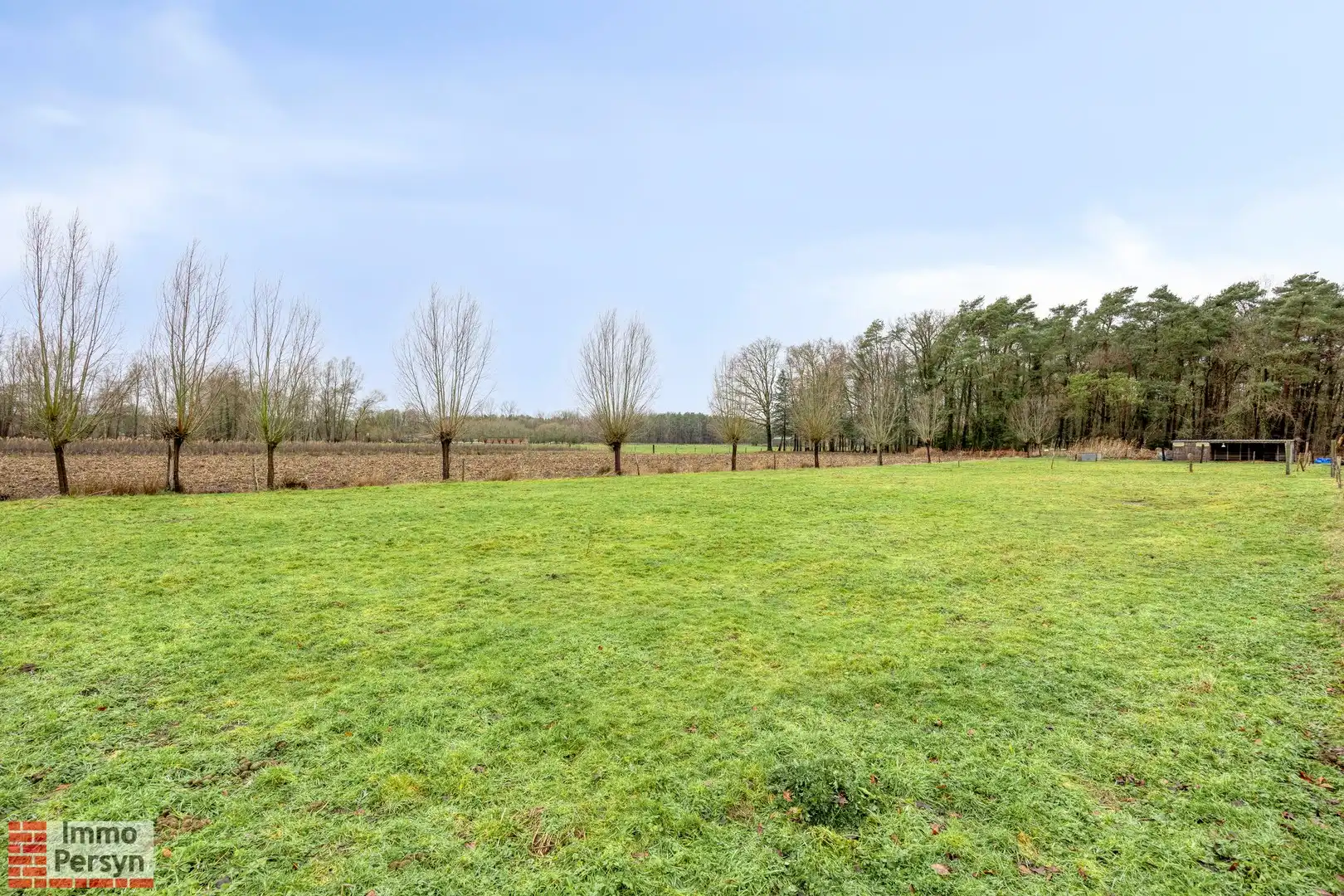 Exclusieve villa op 1,2ha in het groene Langdorp foto 61