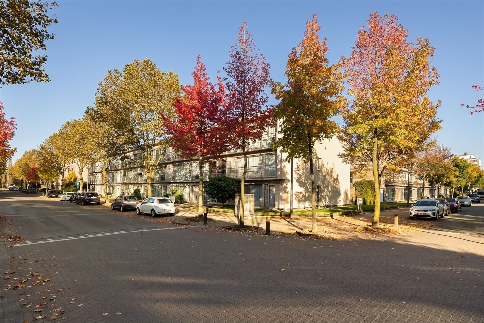 Instapklaar & gezellig appartement - met staanplaats  foto 10