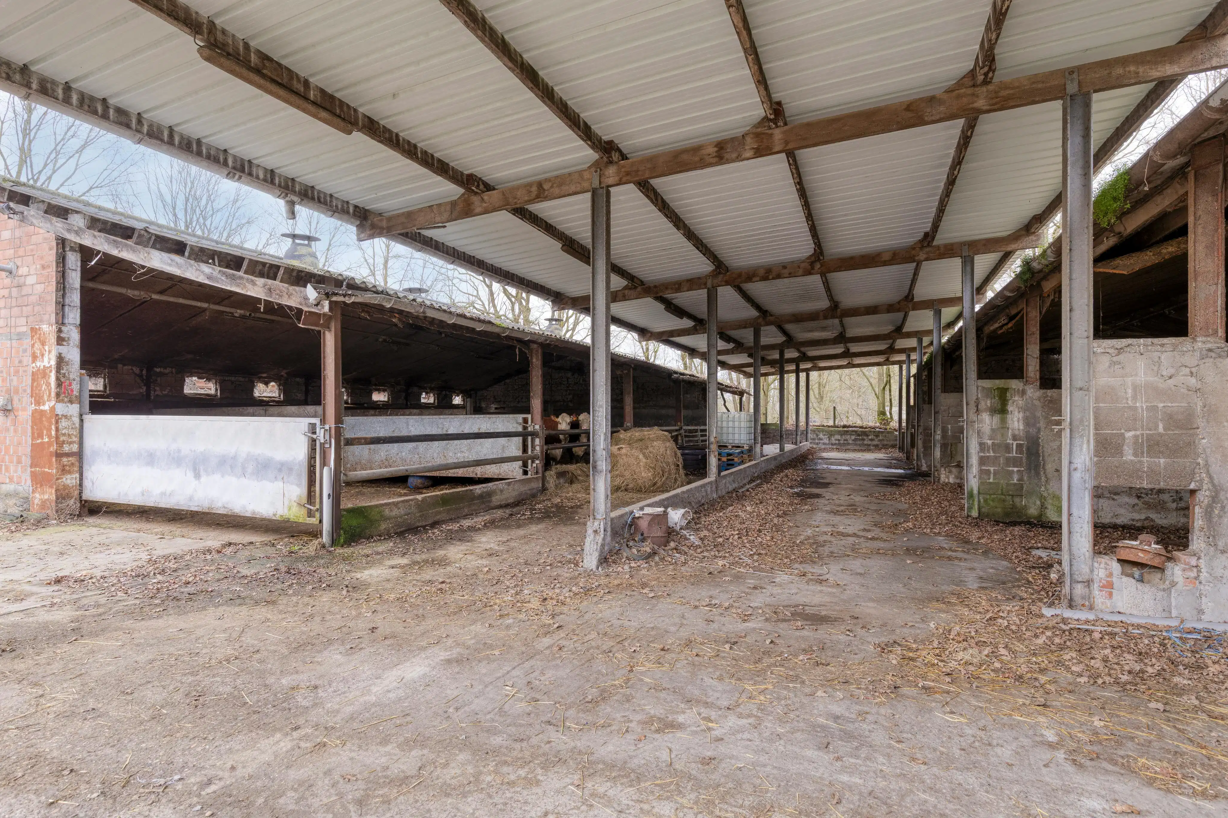 Te renoveren hoeve met stallen op 1 ha 11 are rustig gelegen in Haacht foto 8