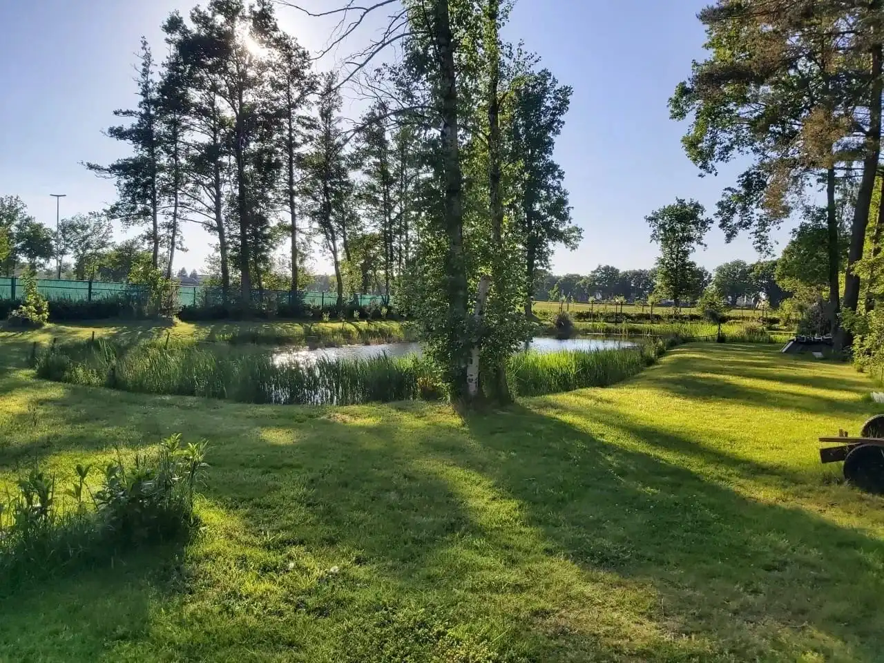 Uniek stuk recreatiegrond met vijver en bouwmogelijkheid – 2154 m². foto 6