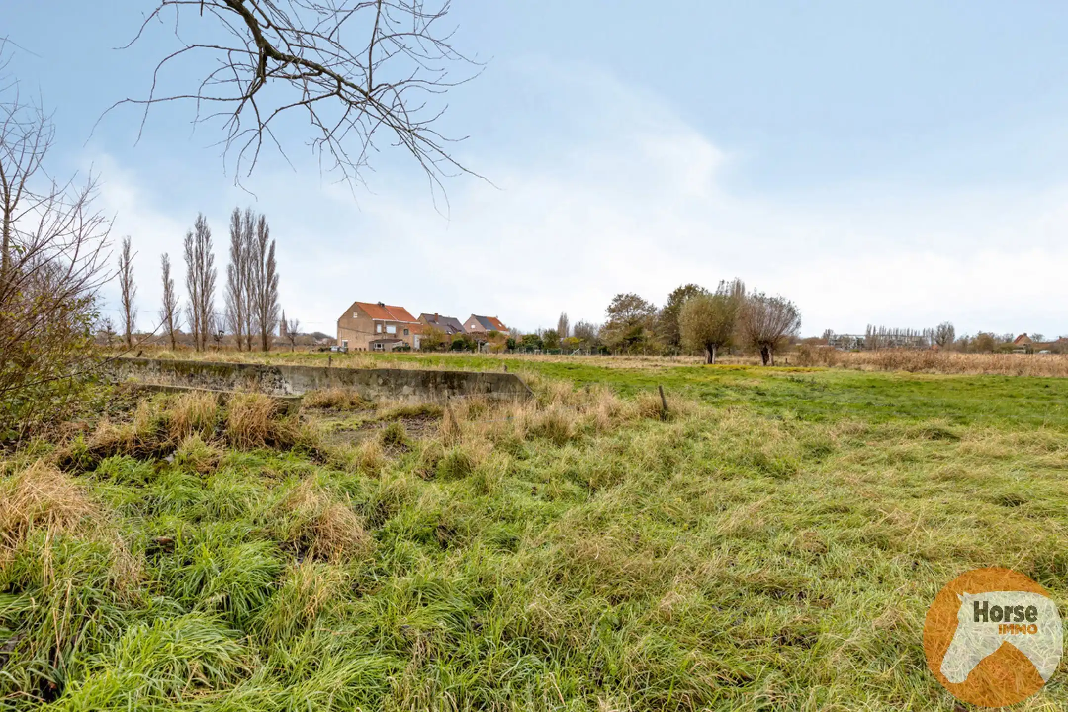 OUDENBURG - Hoevewoning op +- 3 ha foto 16