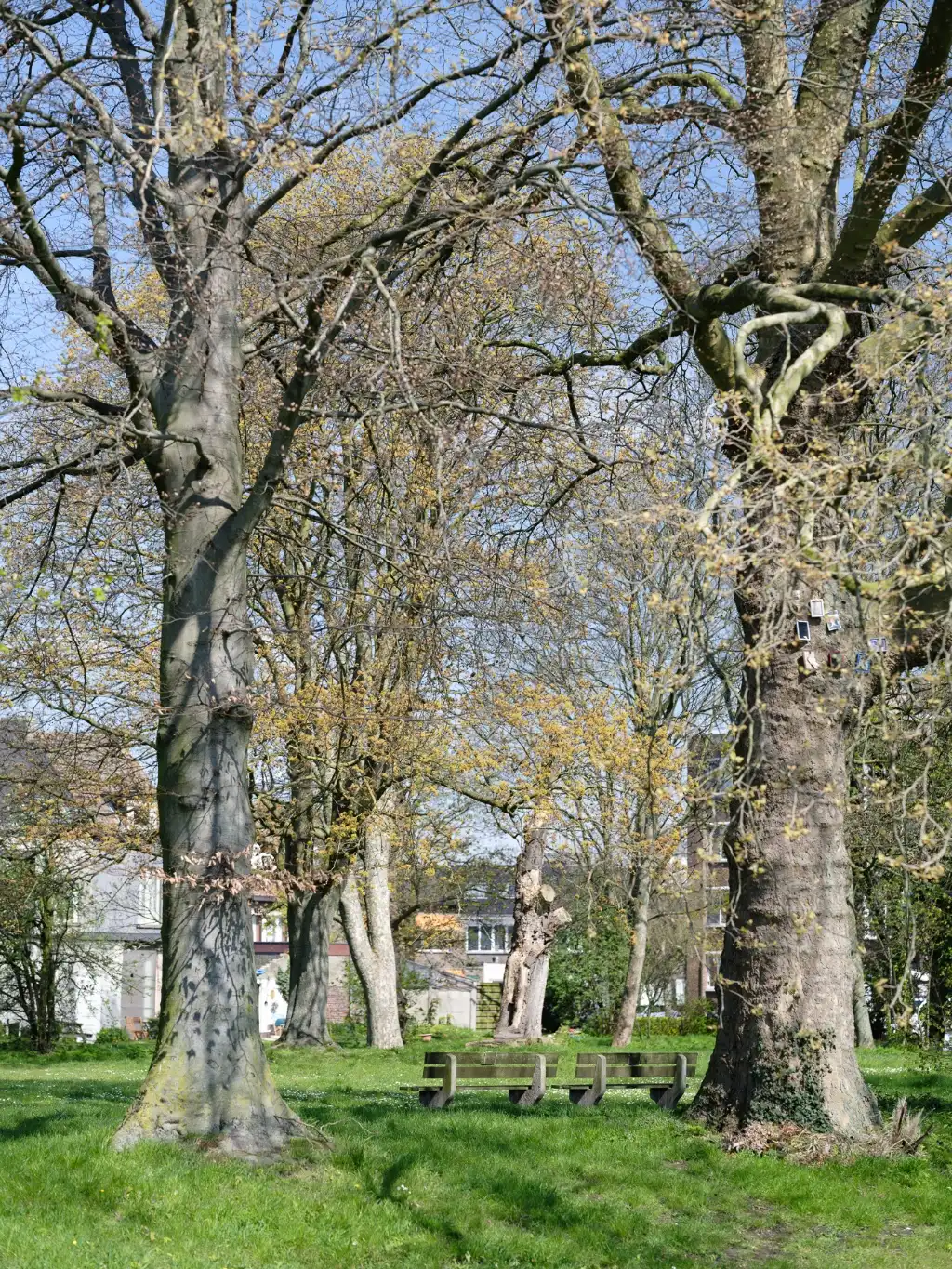 Stijlvolle woning met 3 slaapkamers en parkzicht in de Muide foto 18