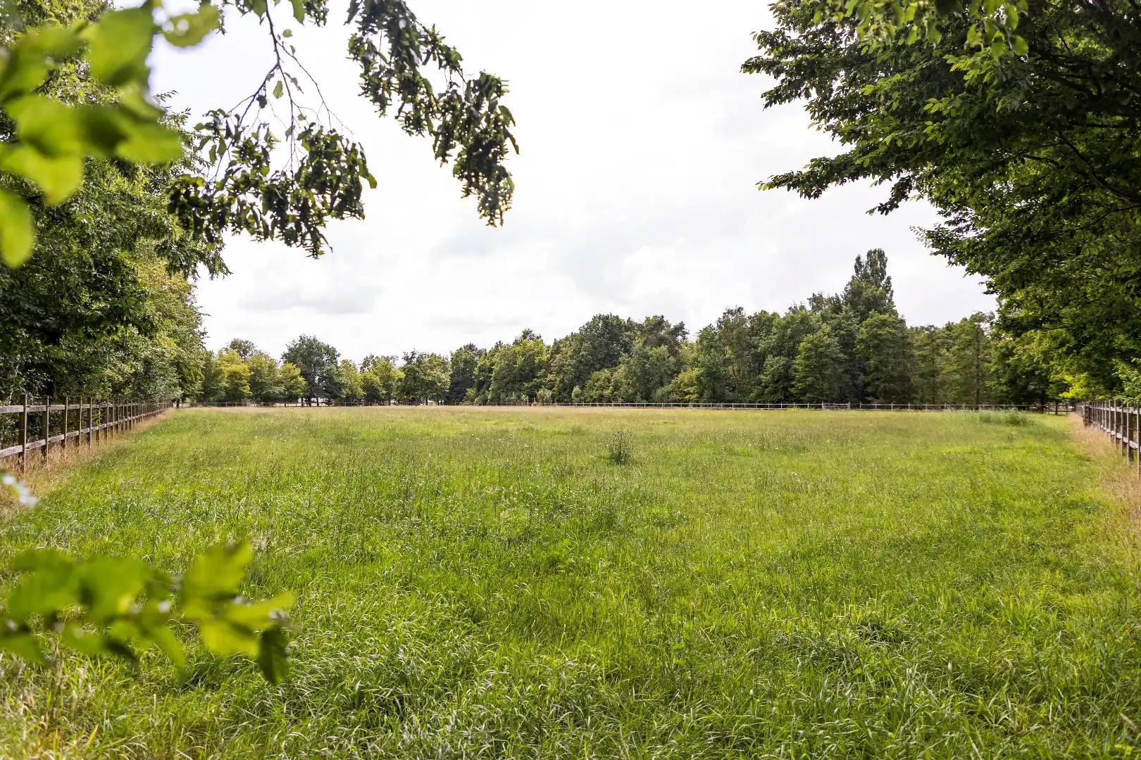 Prachtige landelijke villa met gezinstuin en graslanden op 32.558m² foto 45