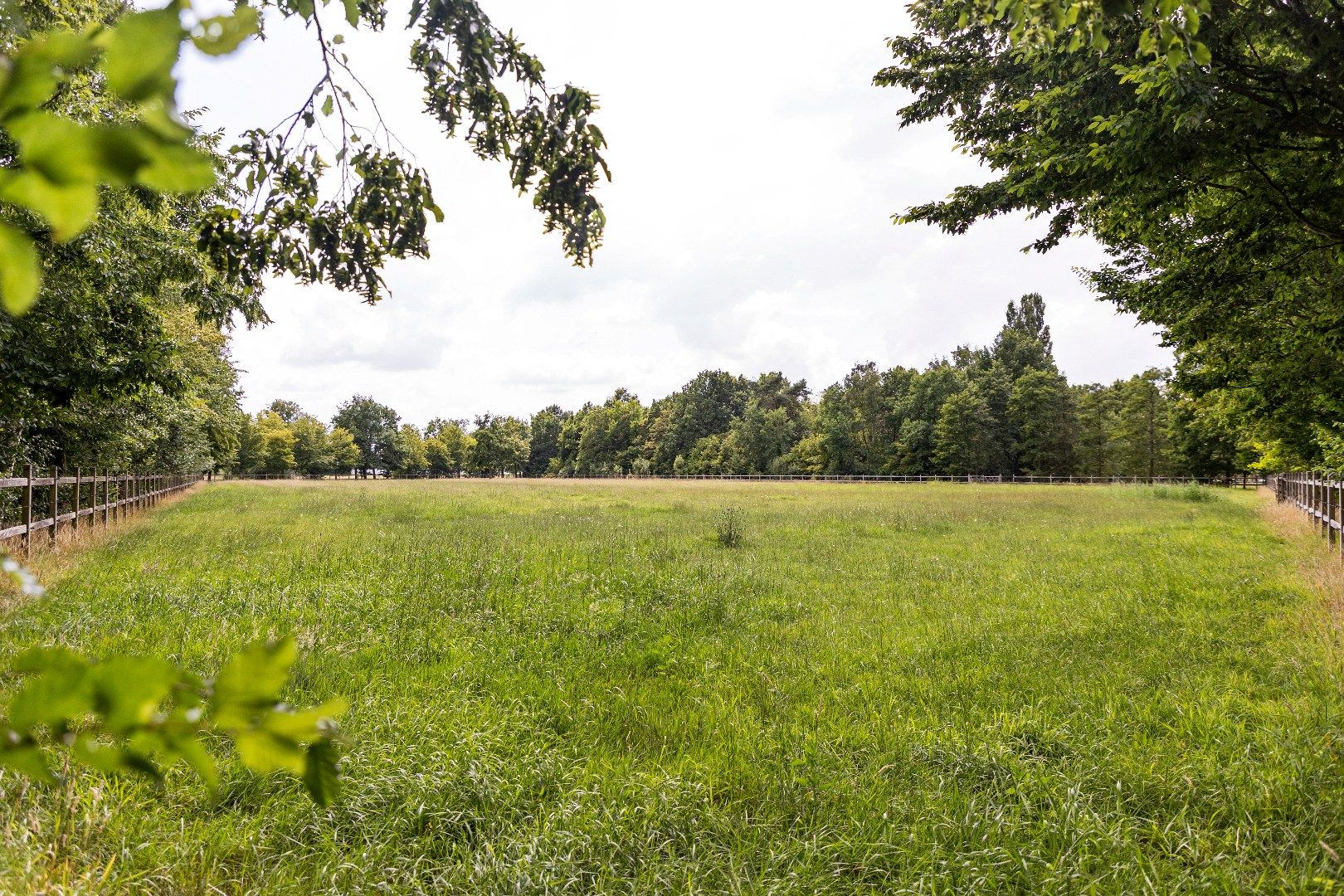 Prachtige landelijke villa met gezinstuin en graslanden op 32.558m² foto 45