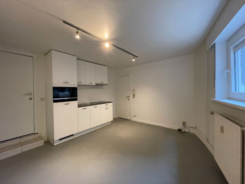Gerenoveerde studio nabij Citadelpark en Sint-Pietersstation - enkel studenten foto 2