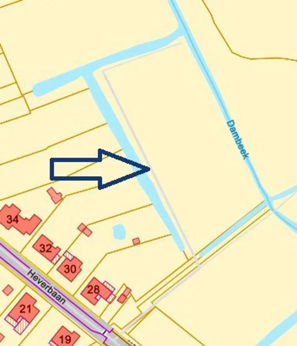 Bosgrond met beek nabij centrum Hever. foto 6