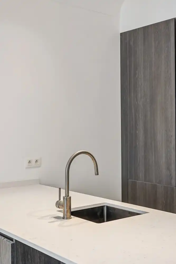 Gelijkvloers pareltje ±140m² met stadstuin en terras in hartje Antwerpen – Gerenoveerd in 2025 foto 16