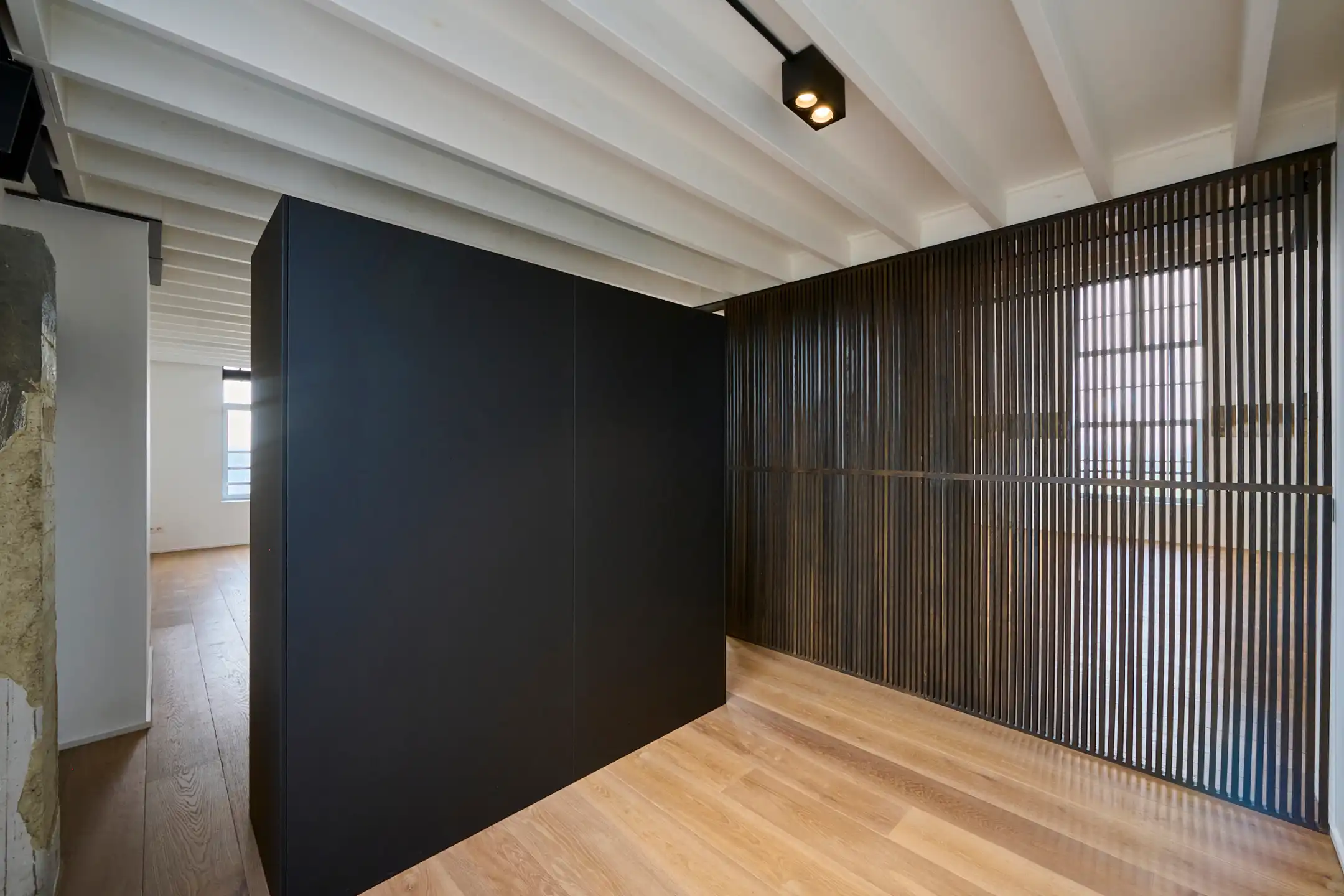 RIANTE PENTHOUSE-LOFT 263m² foto 6