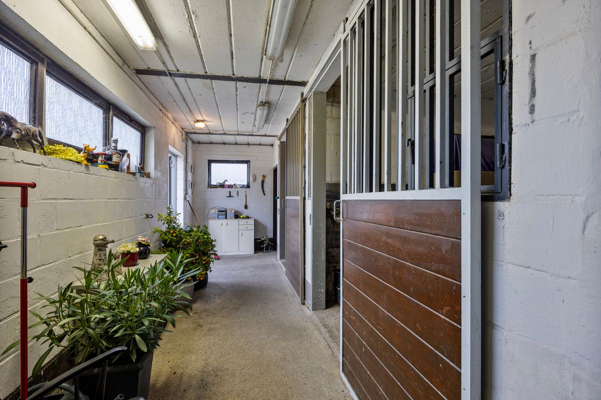 Ruime gelijkvloerse woning met bedrijfshal foto 30