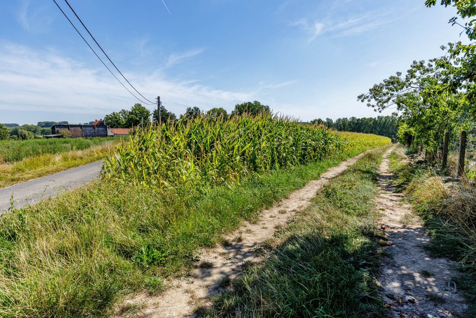 Exceptioneel gelegen bouw- en landbouwgrond te Michelbeke. foto 4