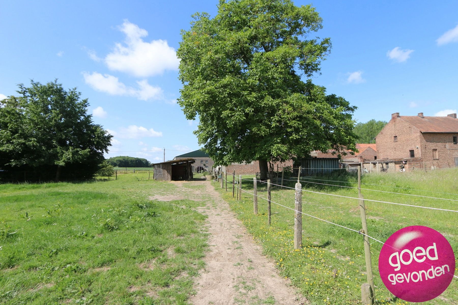 HOEVE met WONING 4 SLK - TUIN - TERRAS - WEI - SCHUREN  foto 24