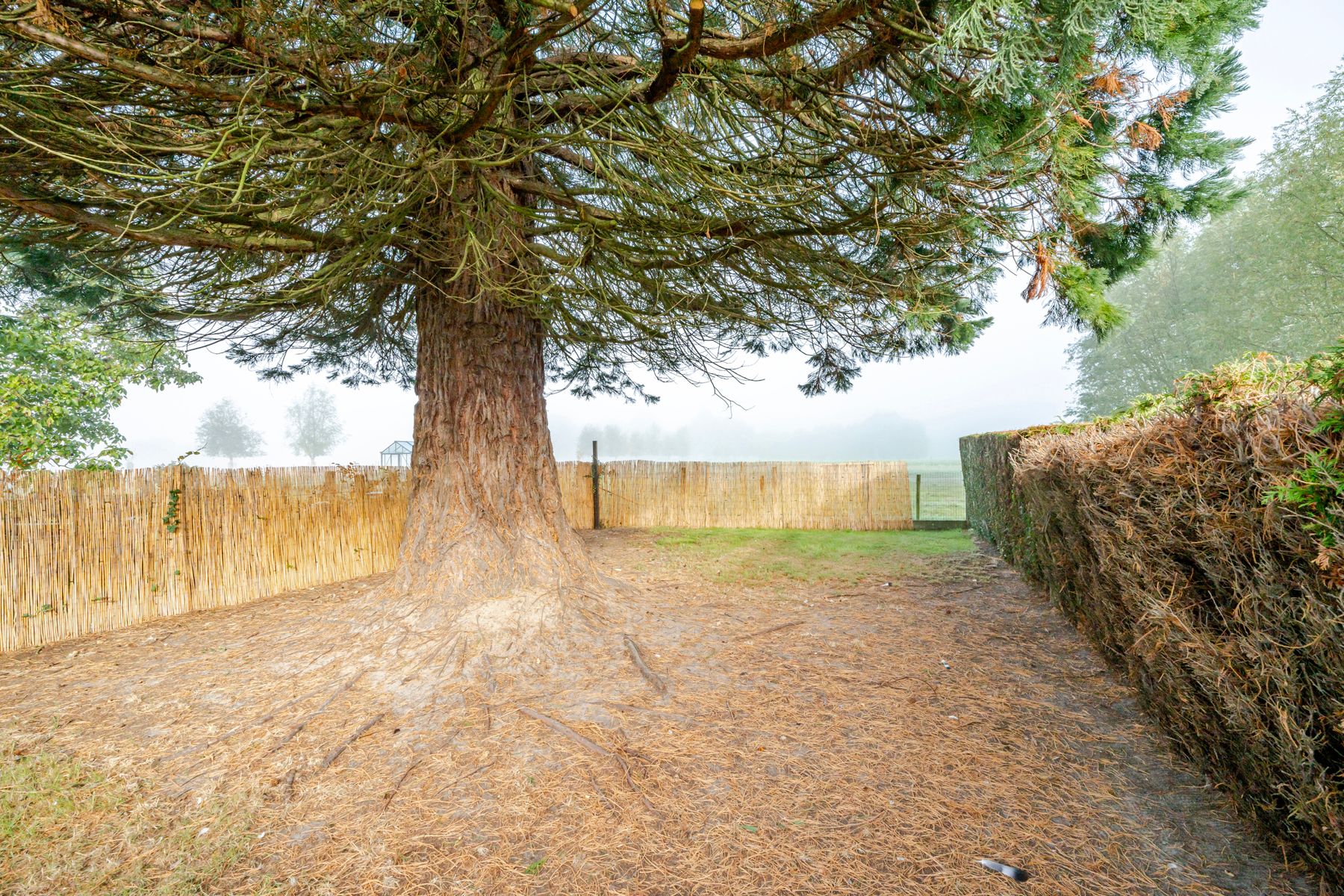 Huis te koop foto 16