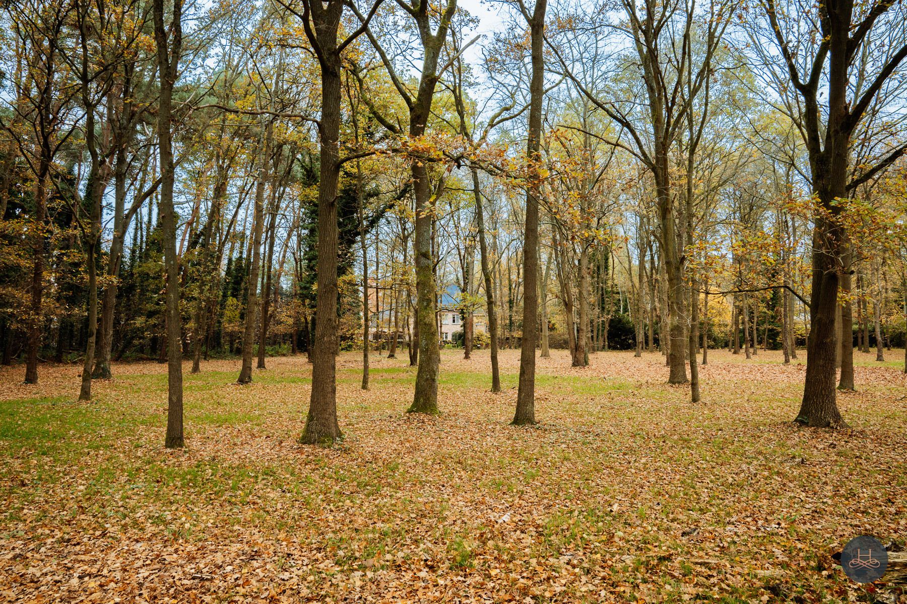 Imposante, zuinige villa in het groen met een open zicht  foto 6