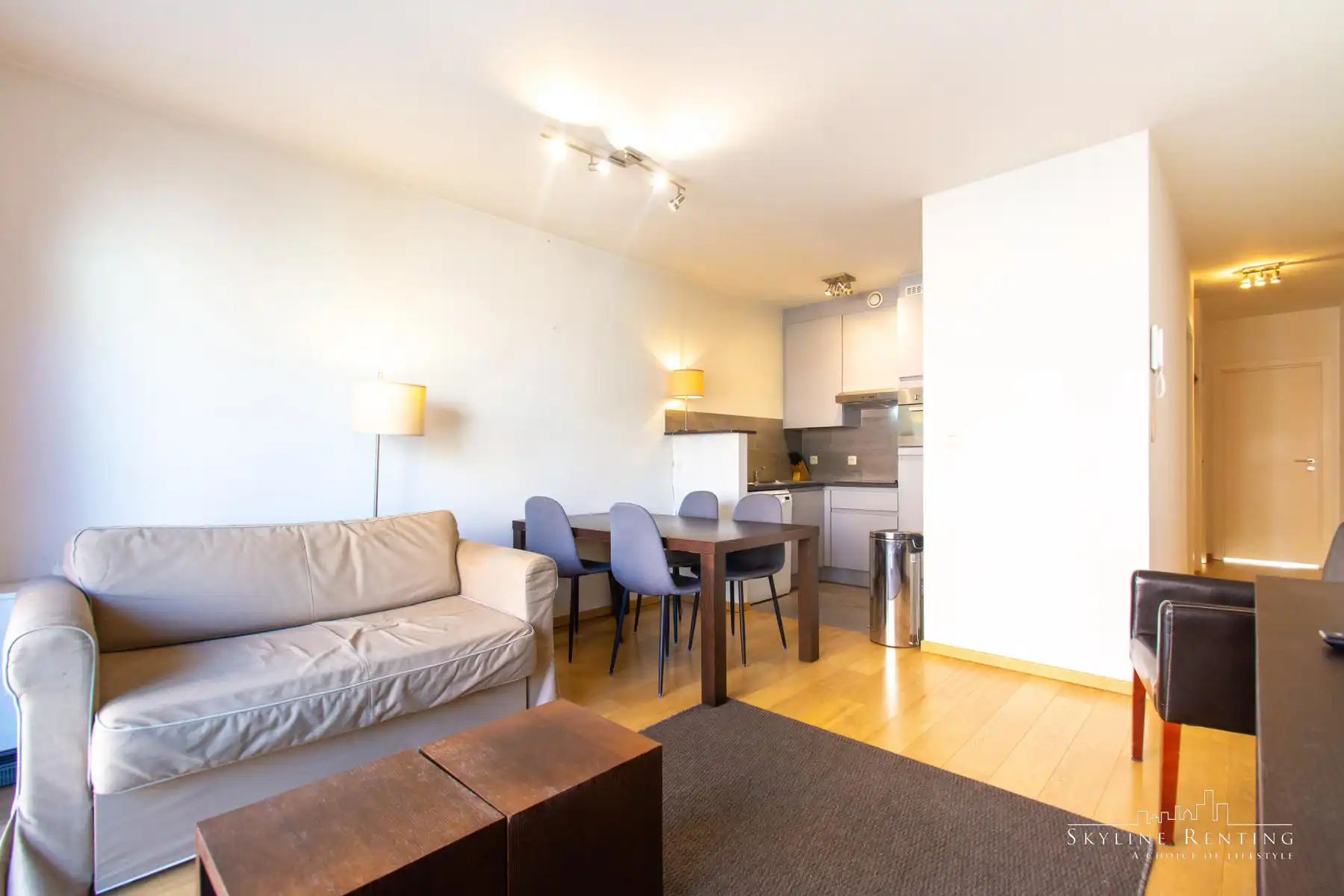 LICHTRIJK - Prachtig app. 2 Kamers en 2 TERRASSEN foto 5