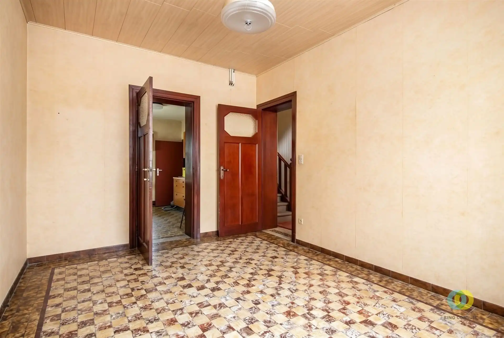 Ruime woning met praktijkruimte, garage en tuin foto 5