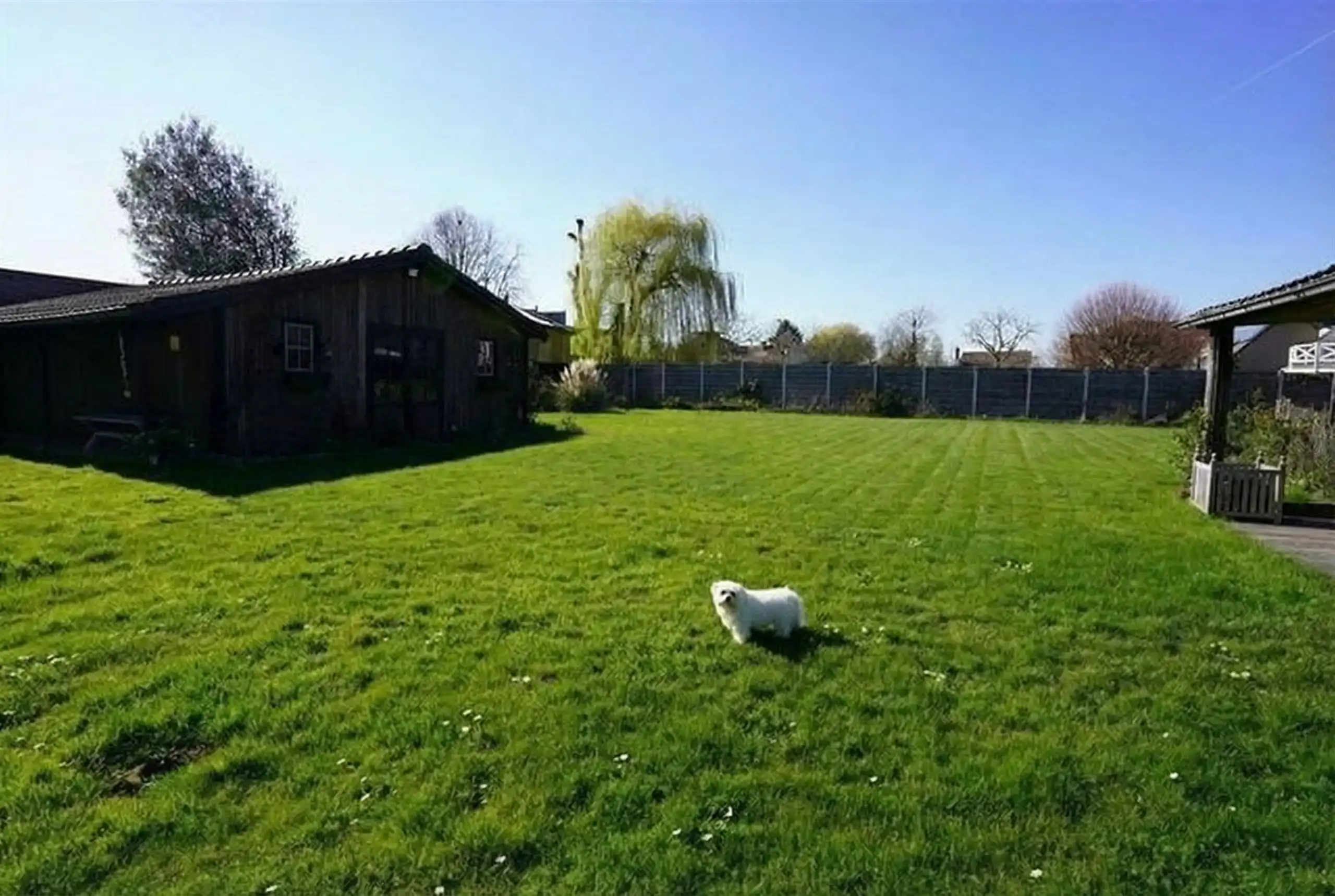 Ruime villa op 1.617 m² met kantoor/praktijk aan huis foto 2