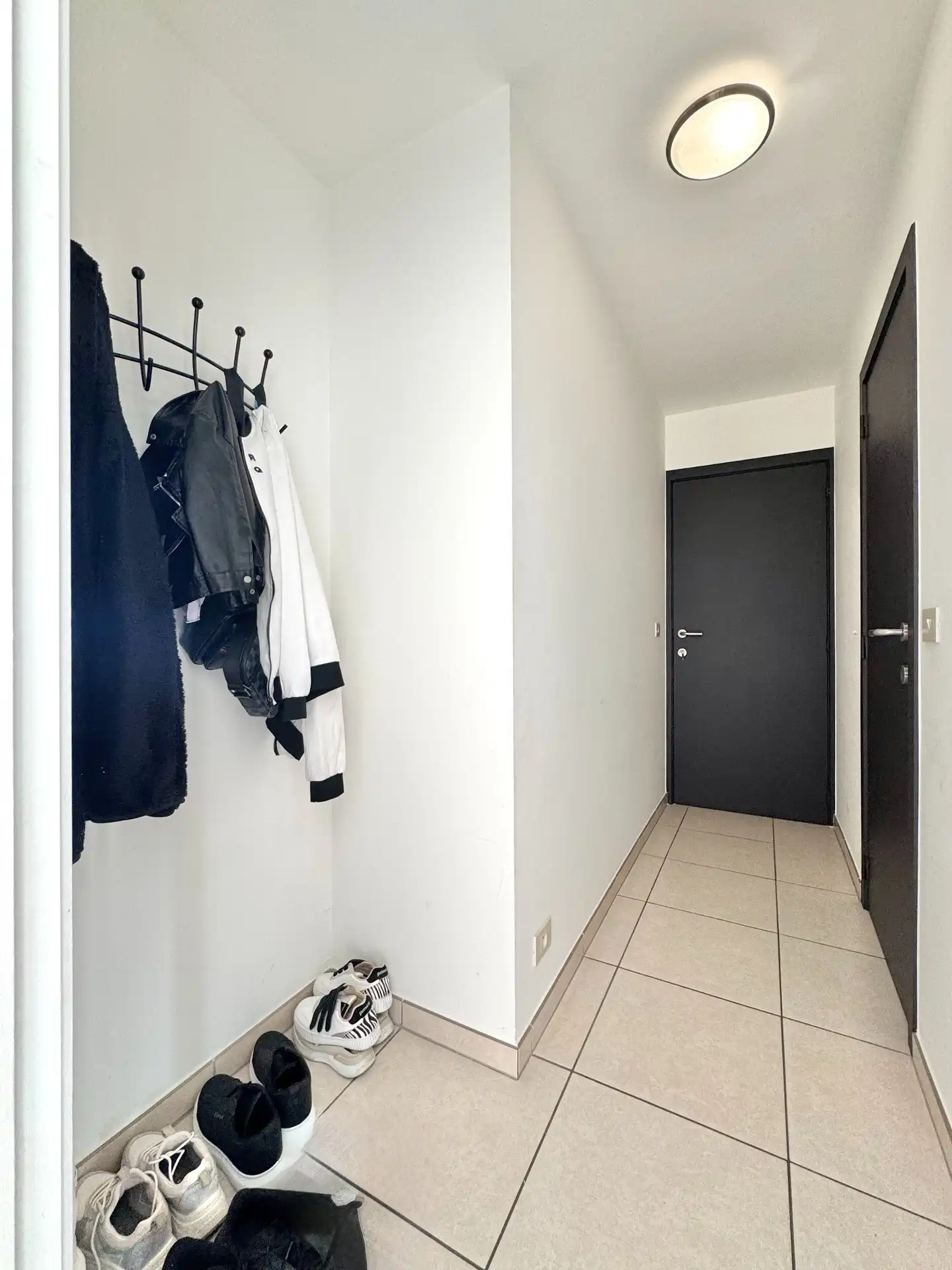 LICHTRIJK APPARTEMENT MET ZONNETERRAS EN 2 KAMERS foto 14