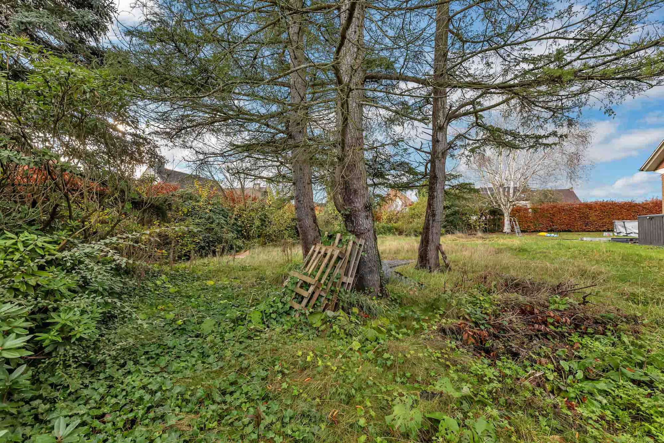 Rustig gelegen bouwgrond voor open bebouwing foto 2