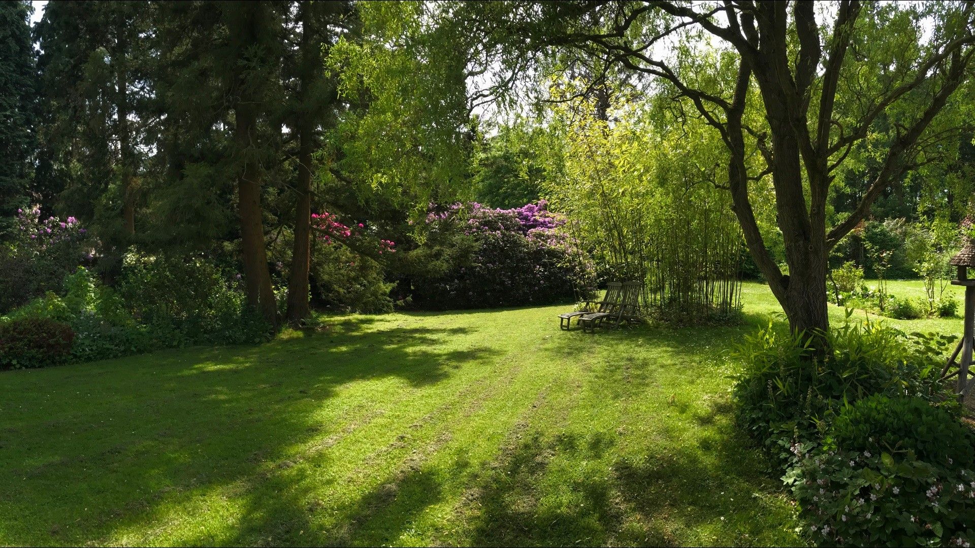 Laagbouwvilla op domein van 4.953 m² foto 20
