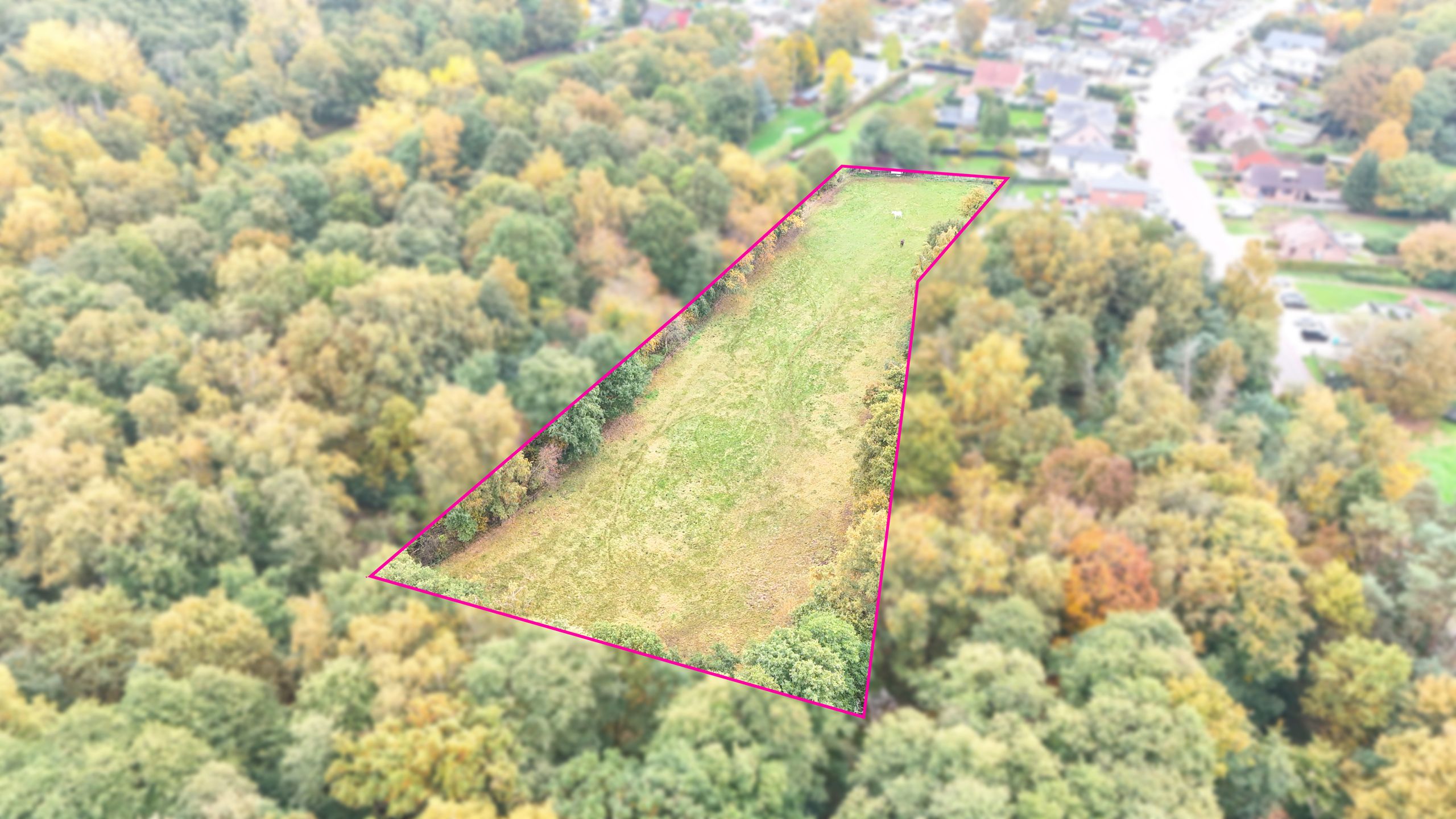 Weide van 90 are in prachtig gelegen gebied, omringd door bos! foto 5