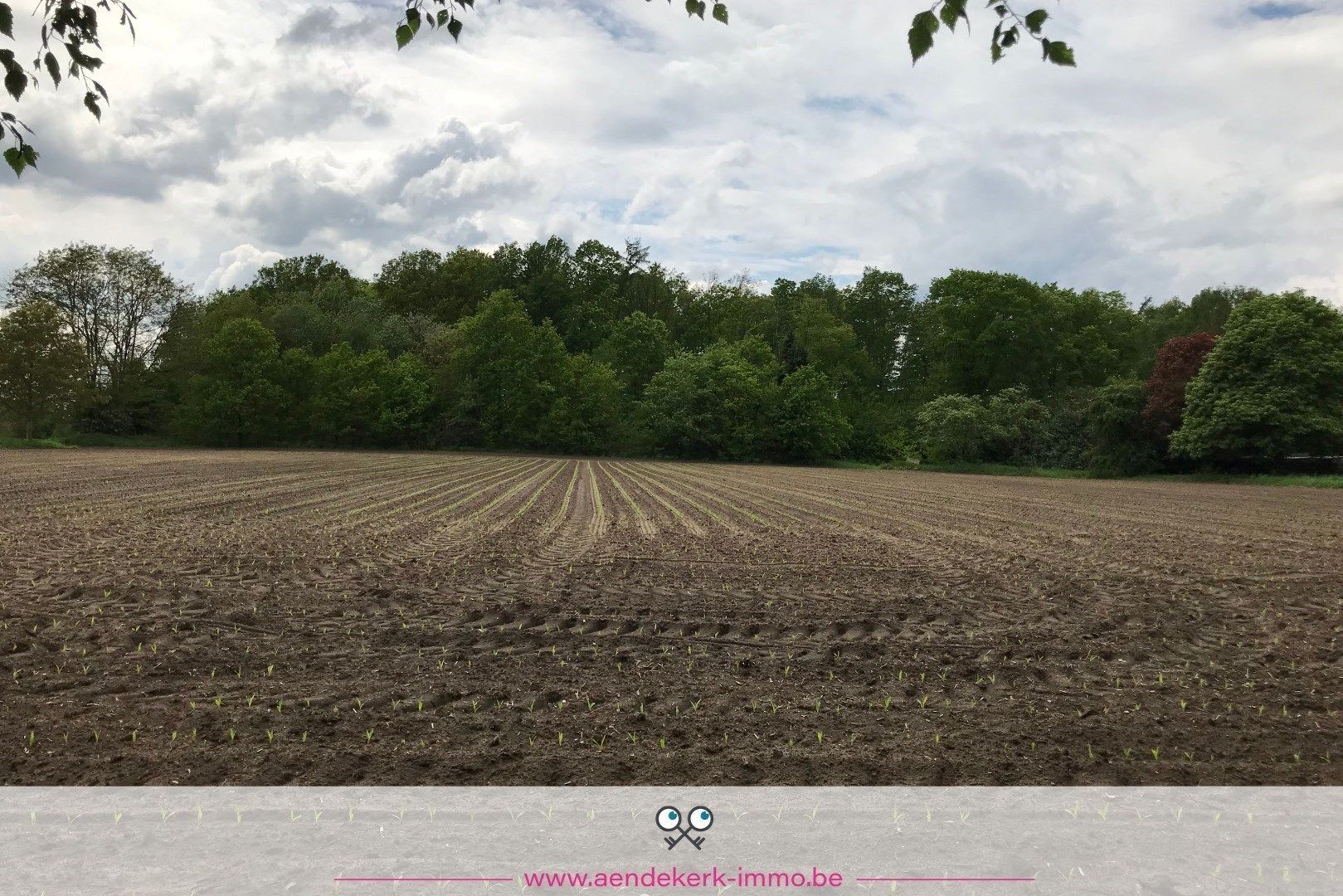 Uniek recreatieperceel in Dilsen-Stokkem – Kansen voor investeerders foto 9
