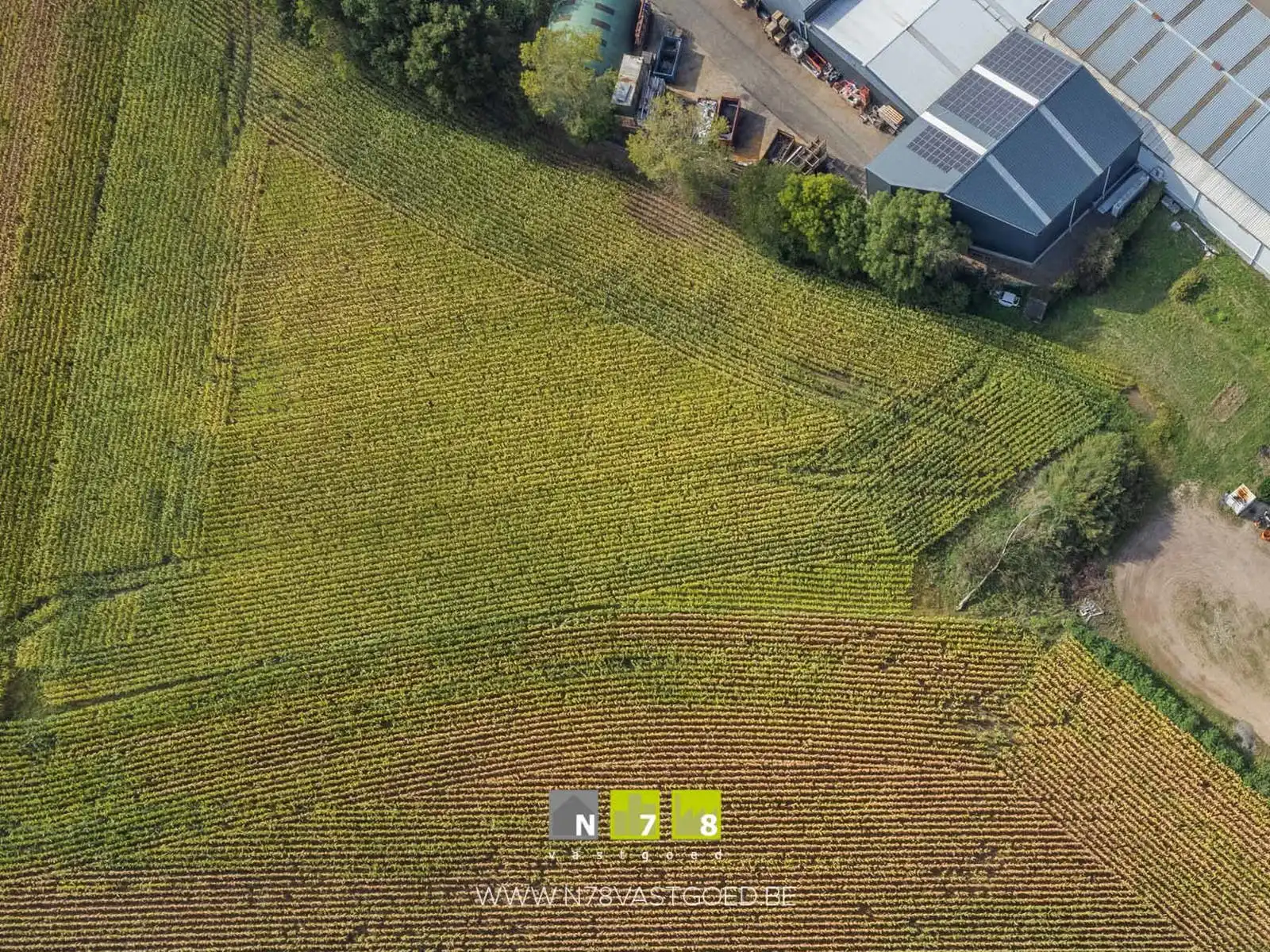 Grond te koop foto {{pictureIndex}}