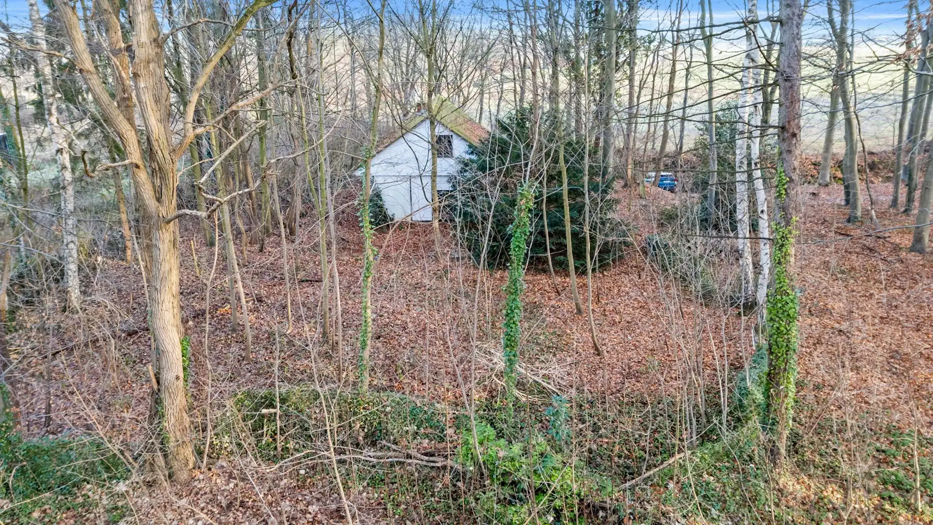 PELLENBERG - Exculsief bouwperceel op 25a68ca - OB foto 2