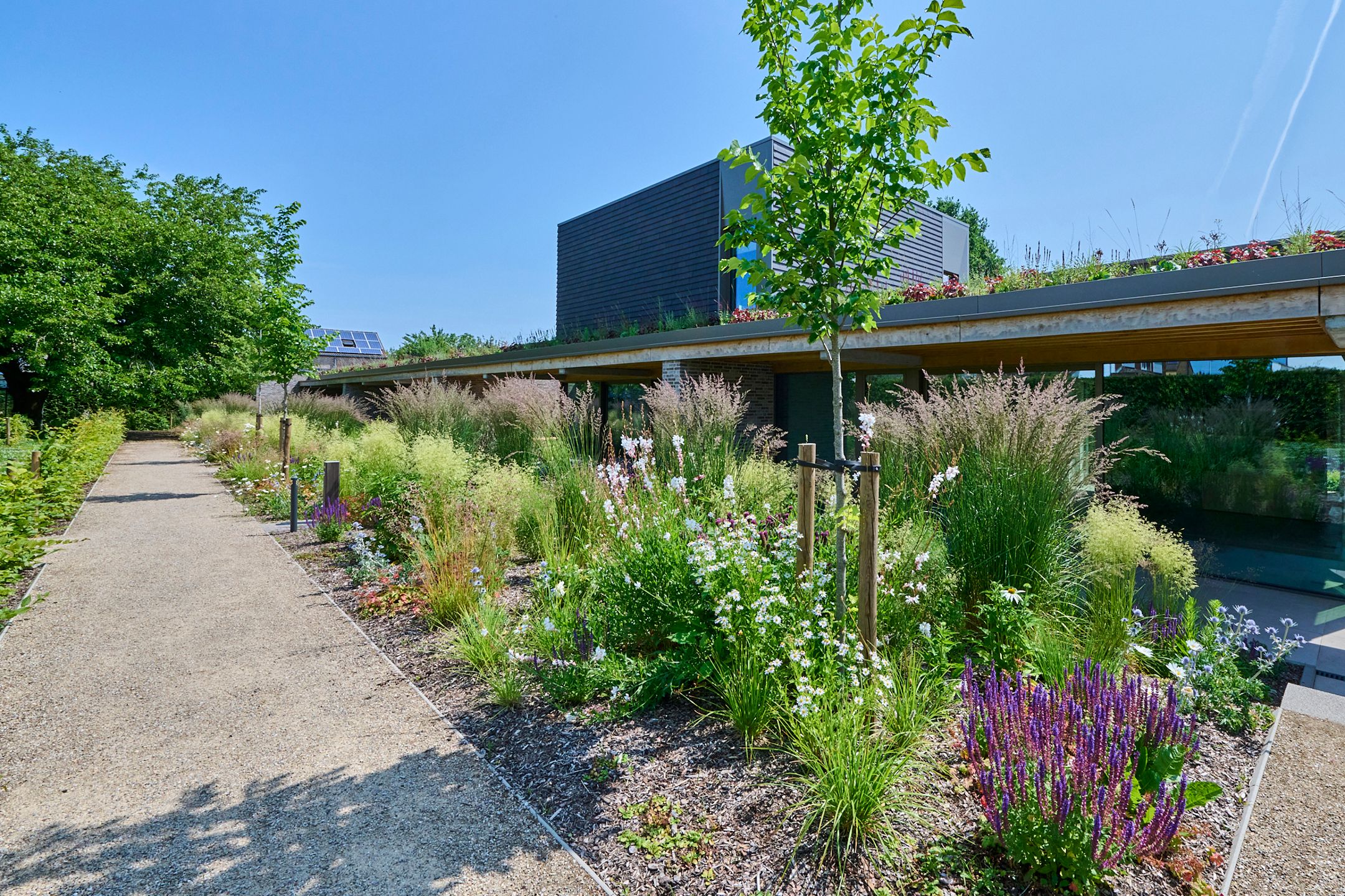 EXCLUSIEVE TUINLOFT GROOT TERRAS MET E-PEIL 0! foto 4