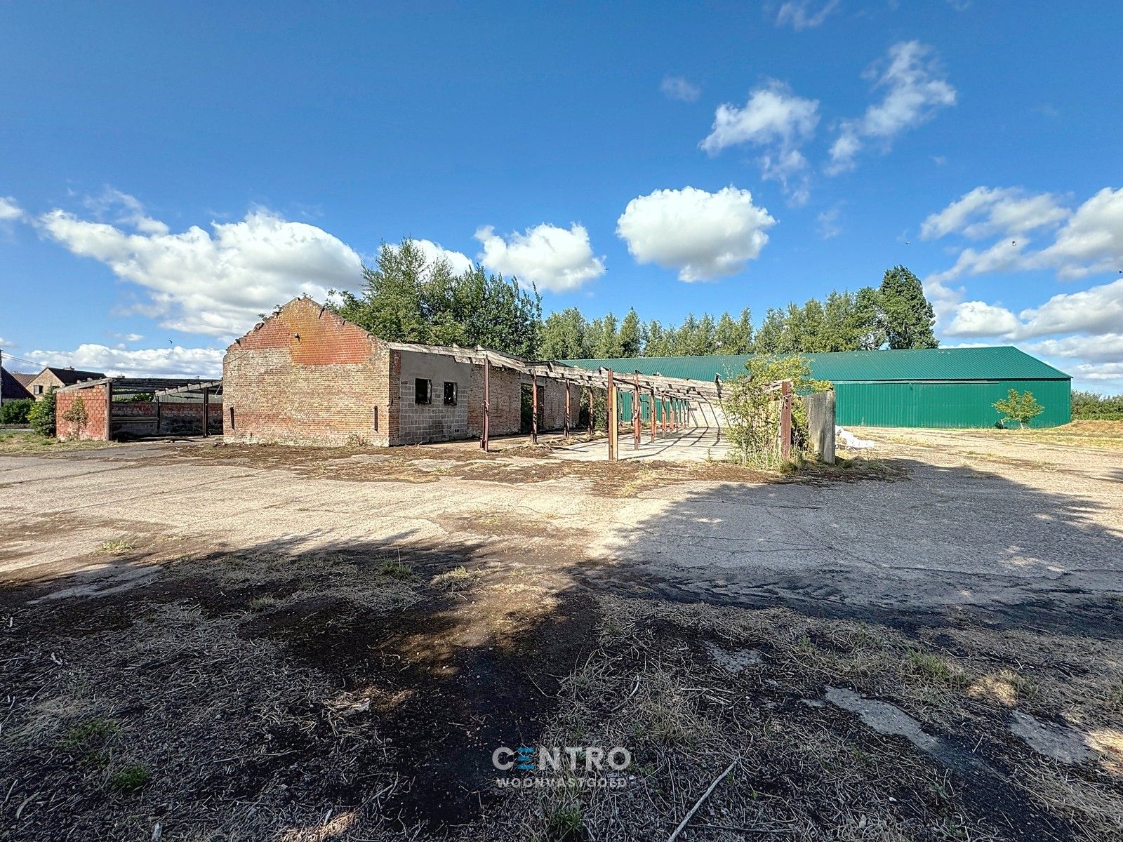 Te renoveren hoeve te Damme op circa 6.850m2! foto 5