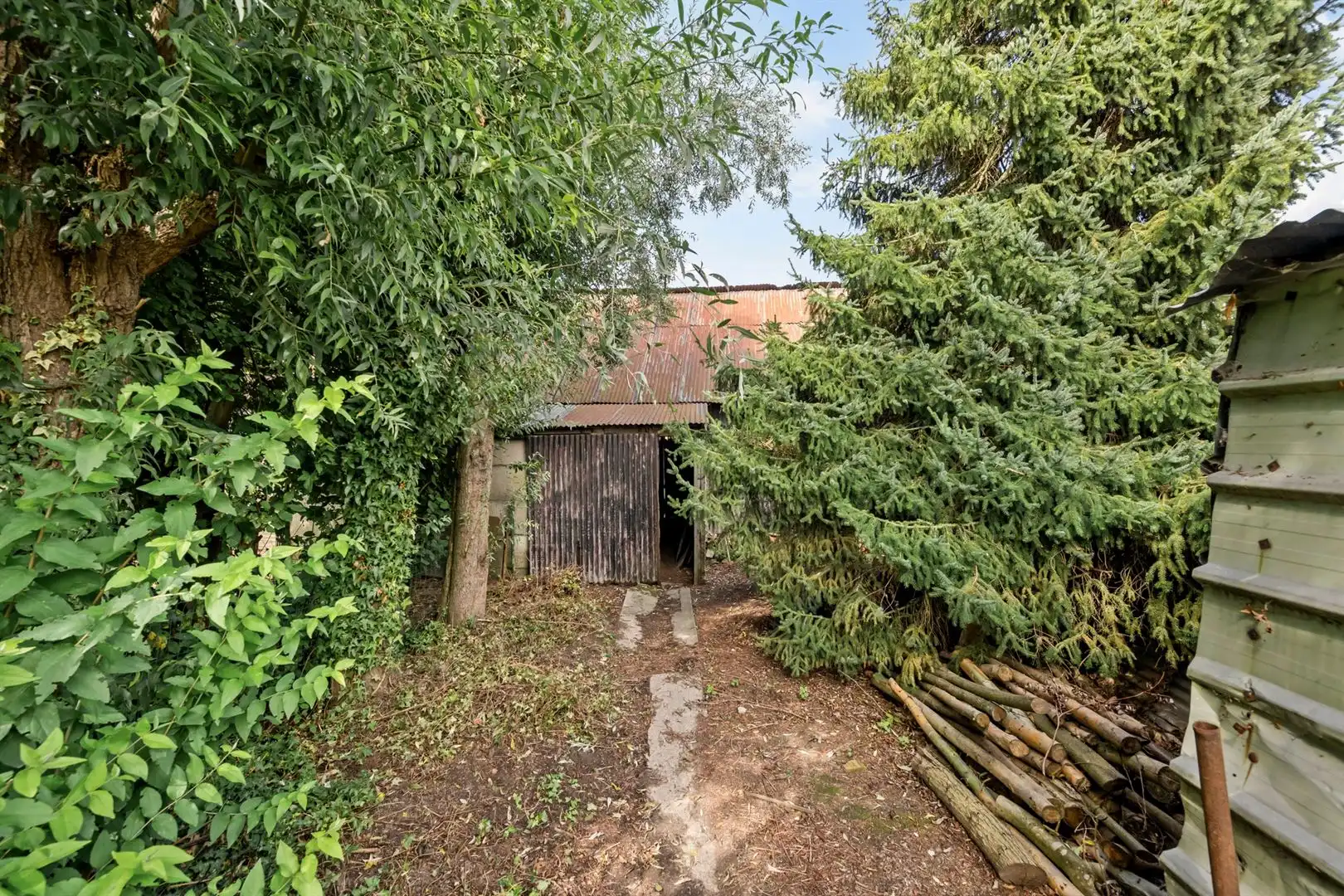 Huis foto 6