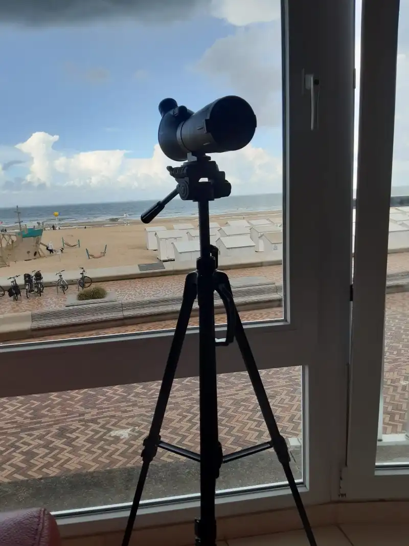 Wonen met de Noordzee aan uw voeten: Stijlvol 2-slaapkamerappartement in residentie Les Nenuphars foto 5