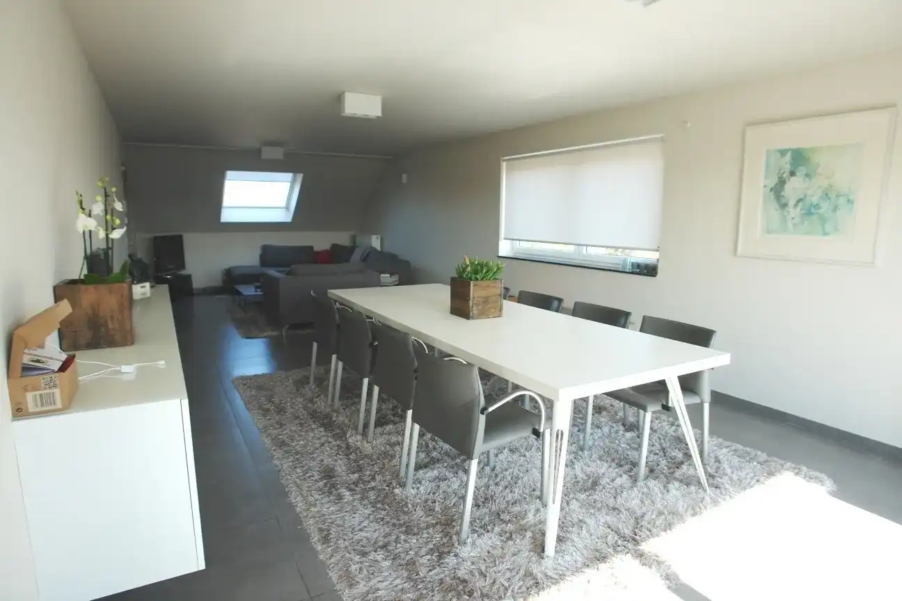 RUIM DUPLEX APPARTEMENT MET TERRAS EN GARAGE foto 2