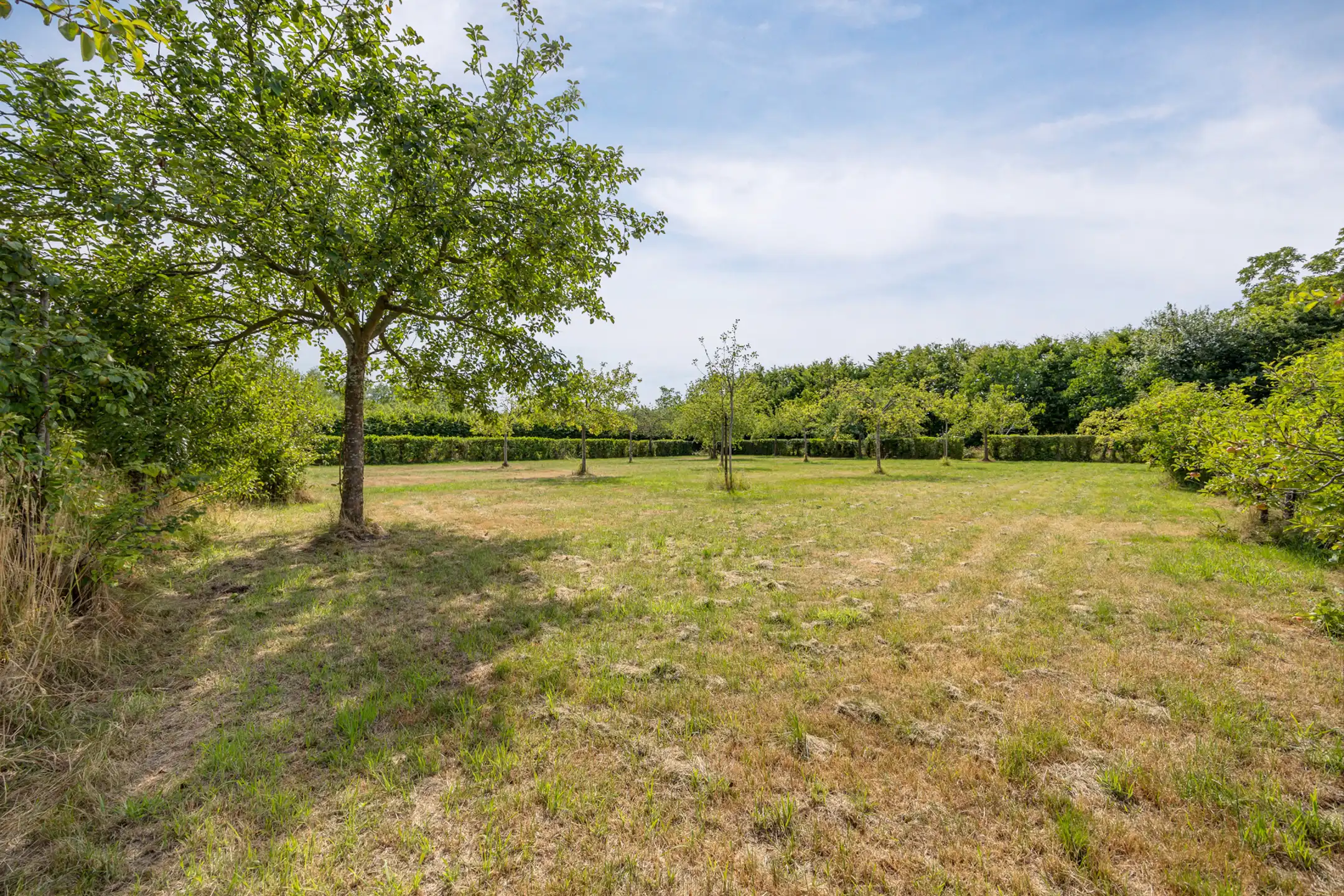 SINT-KATELIJNE-WAVER - Kasteelvilla met gastenverblijf, siertuin en boomgaard foto 26