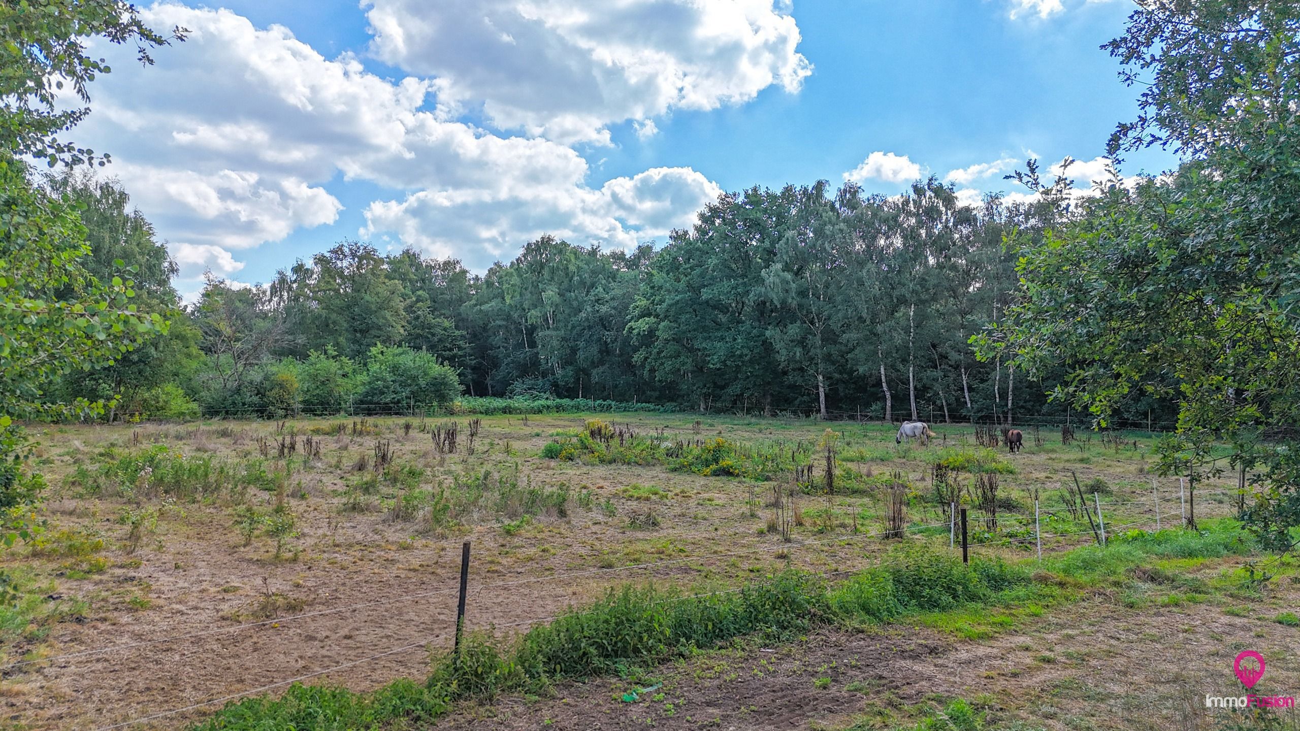 Prachtige weide voor paarden van meer dan 3ha te Heusden! foto 3